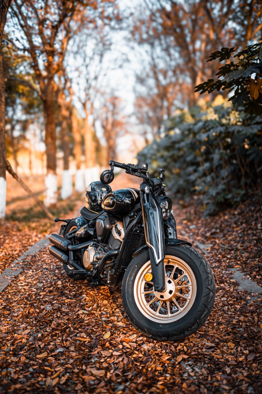 Benda Napoleon 500 Bobber, Phân Phối Chính Hãng, Giá Rẻ Tại Đà Nẵng