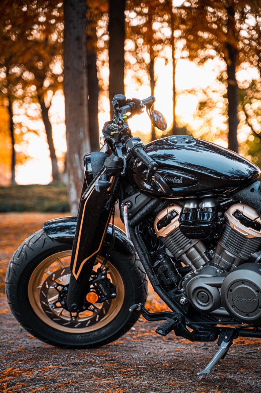 Benda Napoleon 500 Bobber, Phân Phối Chính Hãng, Giá Rẻ Tại Đà Nẵng