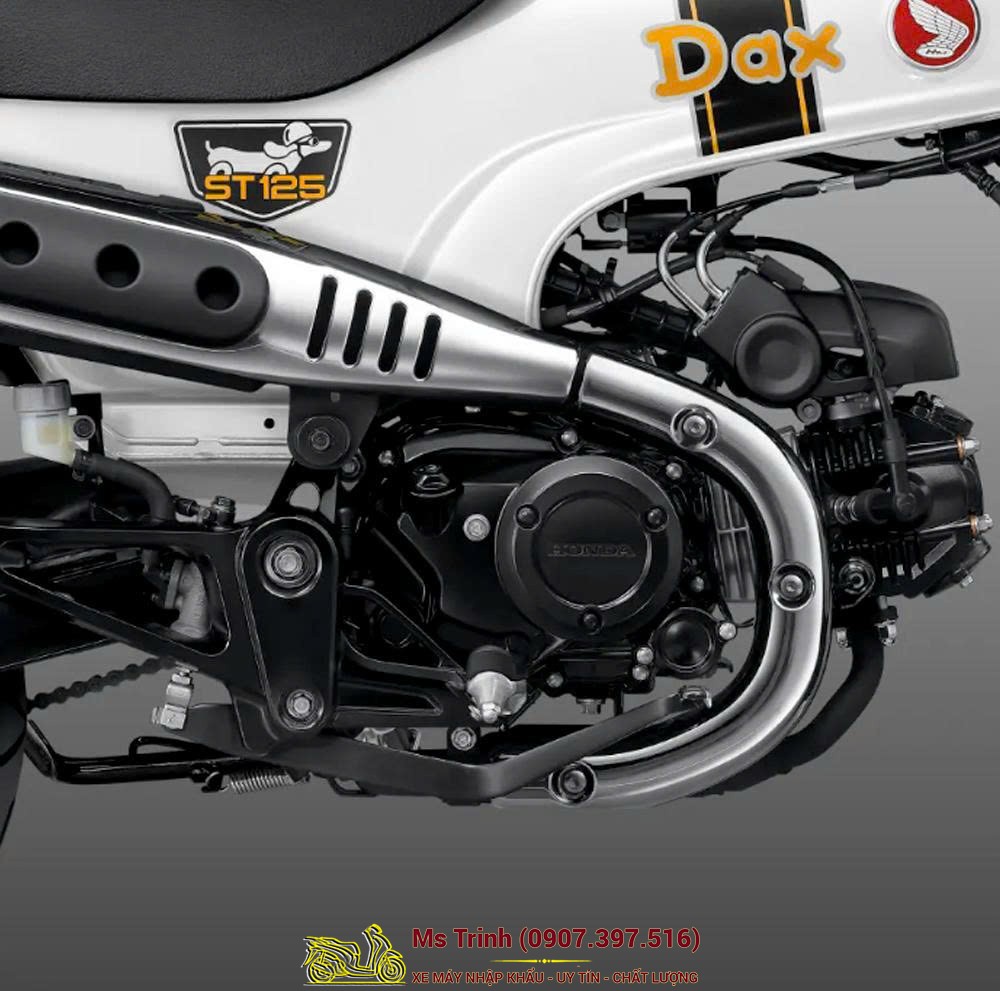 Honda Dax 125 2026 tại Đà Nẵng - Minibike Huyền Thoại Khung T-Bone Độc Đáo